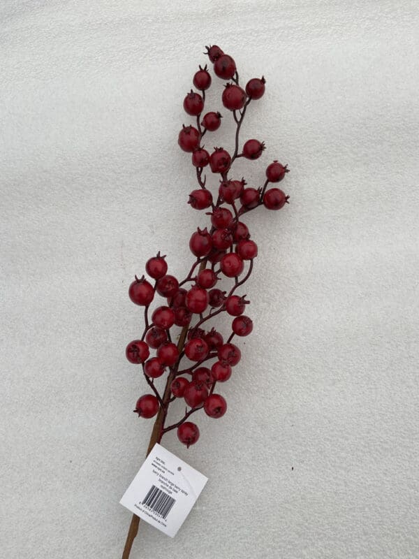Large Berry Branch