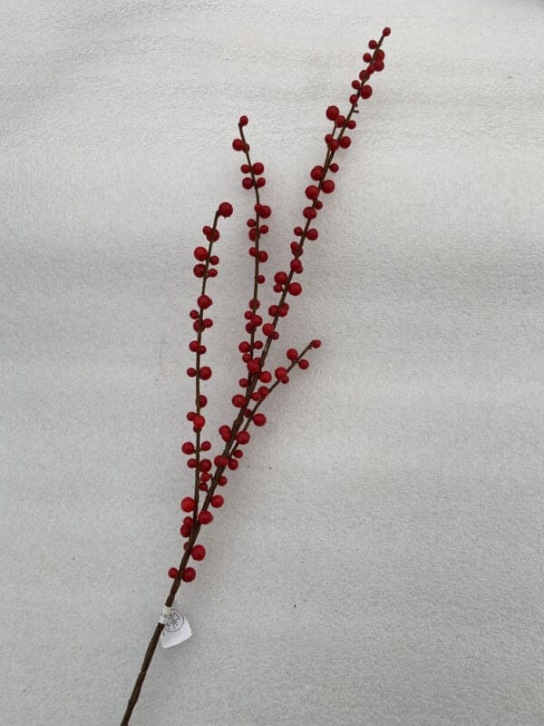 Ilex Berry Branch weather resistant