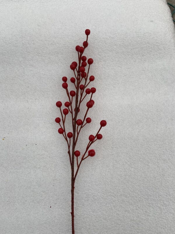 Berry Spray Weather Resistant