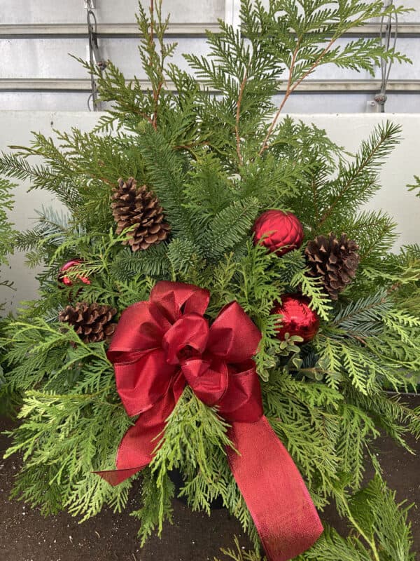 Planter B 8" Solid bow in red with accents and cones.